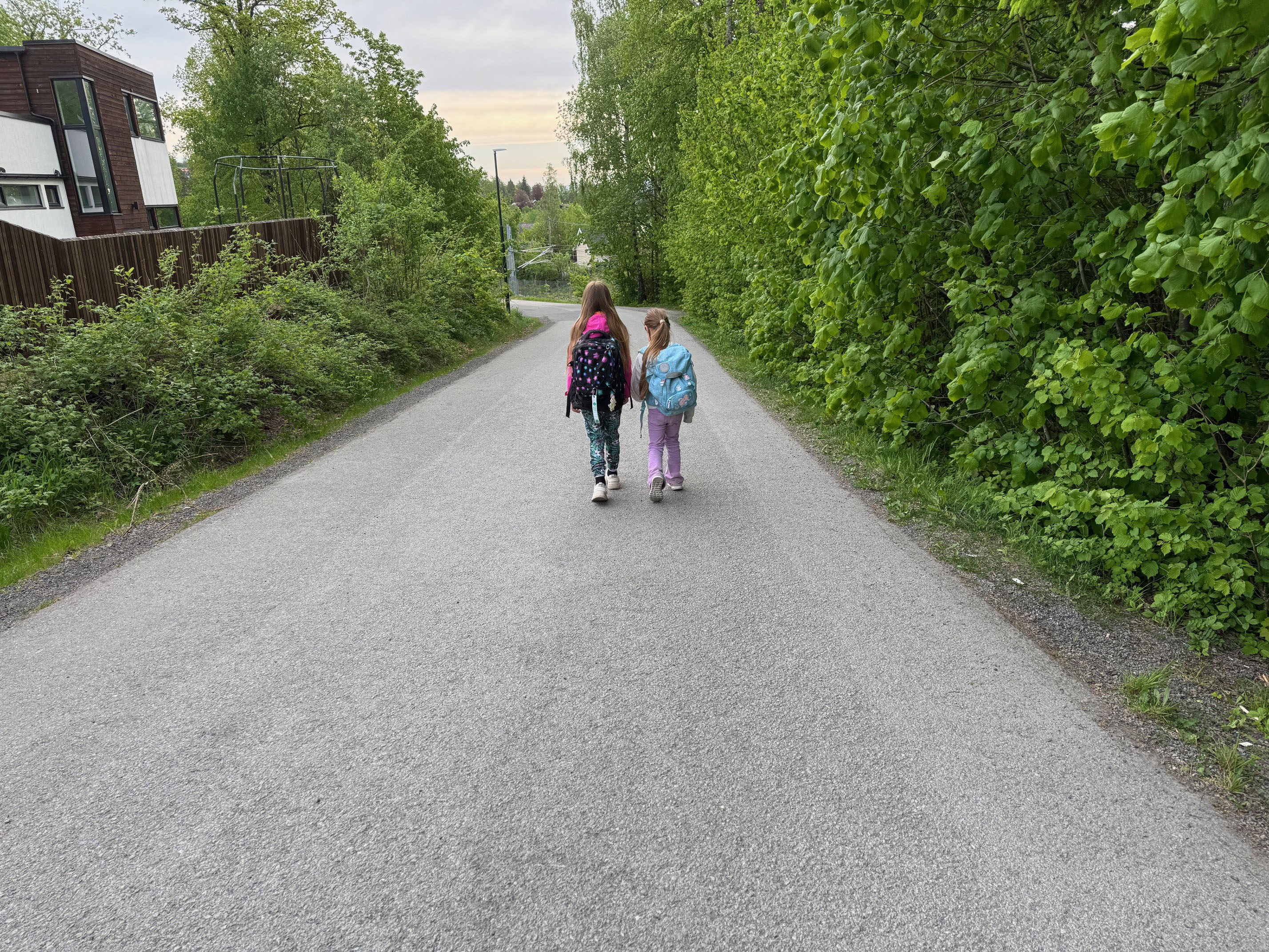 To barn går sammen på en asfaltert vei omgitt av grønt løvverk og busker, på vei til skolen.