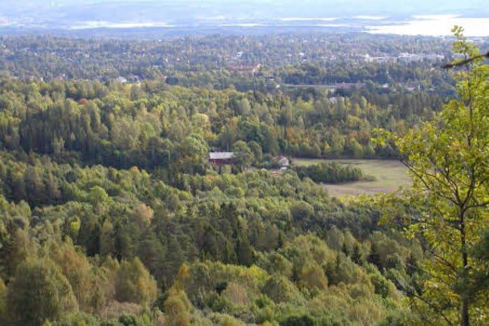 Bygdeborger