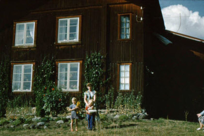 Gråjong