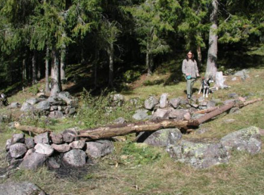 Haugsvollen
