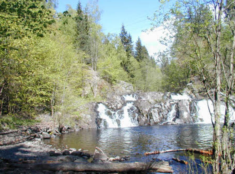 Jar sag og mølle