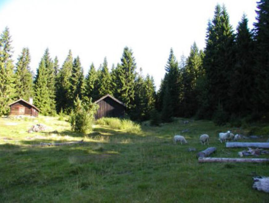 Stovivollen