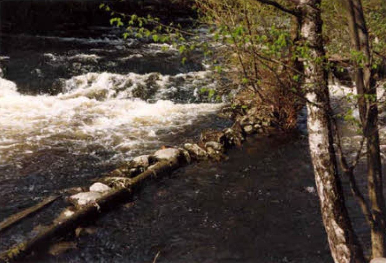 Teinestedet
