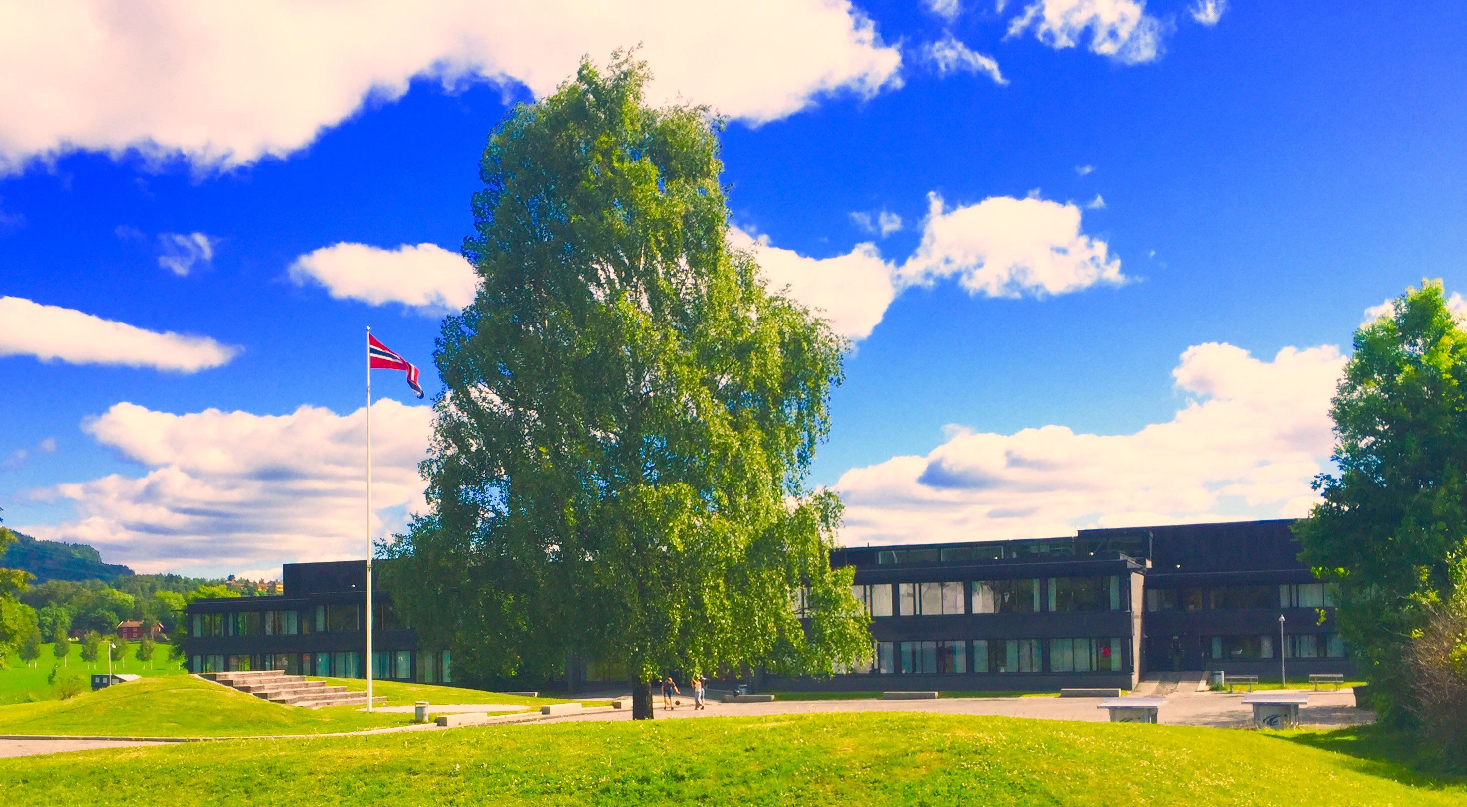 Bjørnegård skole