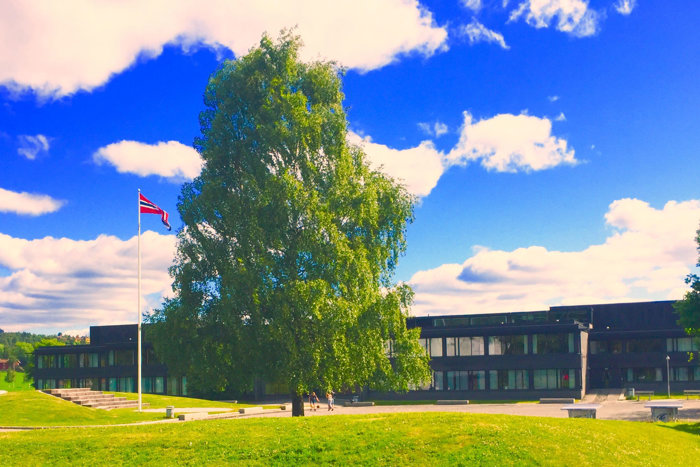 Bjørnegård skole