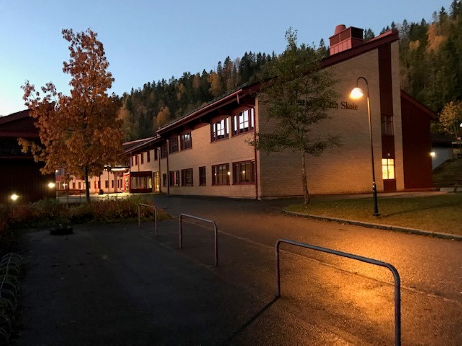 Skole