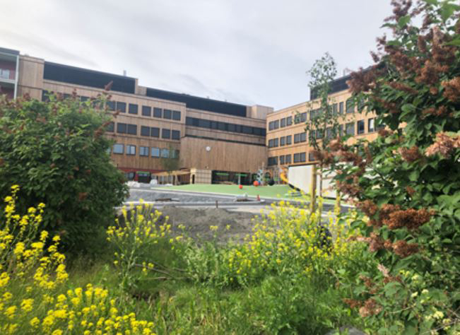 Oksenøya skole