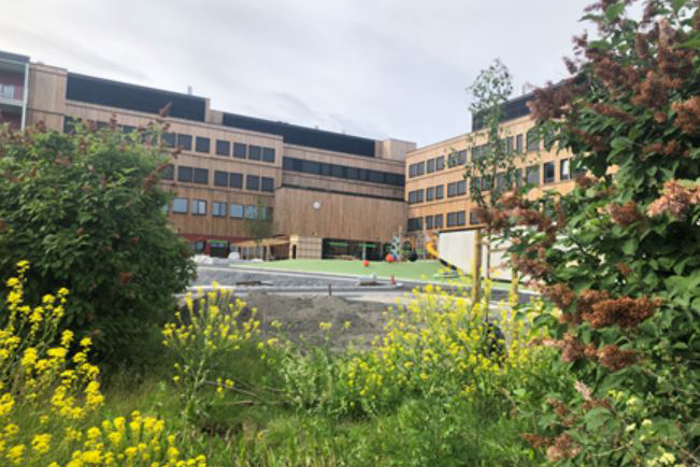 Oksenøya skole
