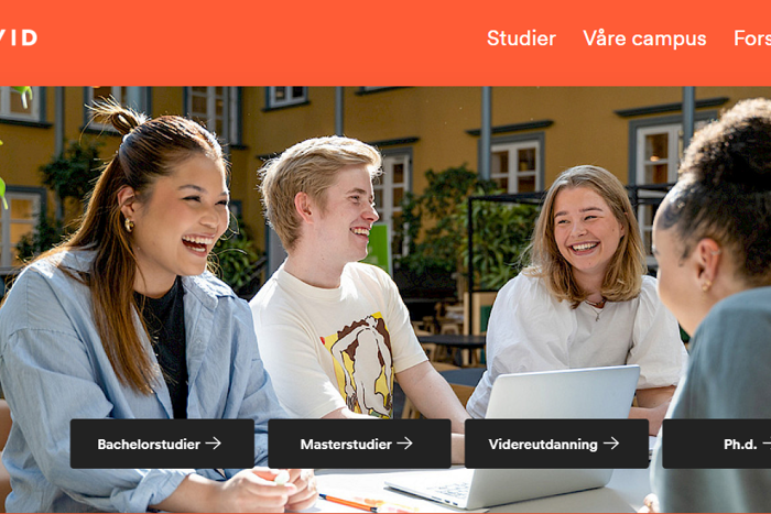 Illustrasjonsbilde infoside om VID