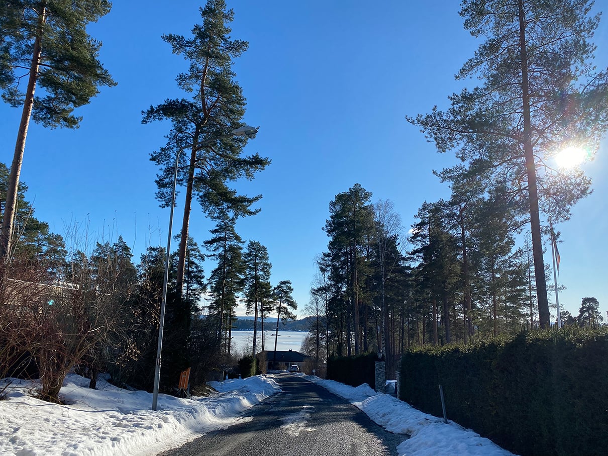 Platheskogen