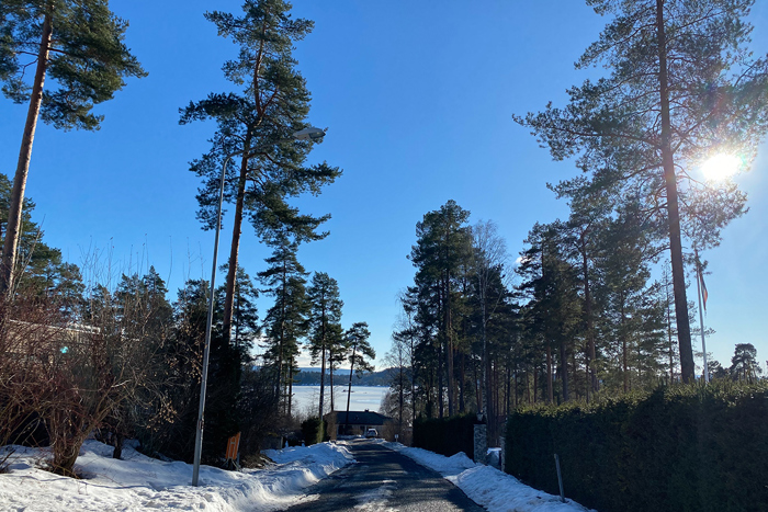 Platheskogen