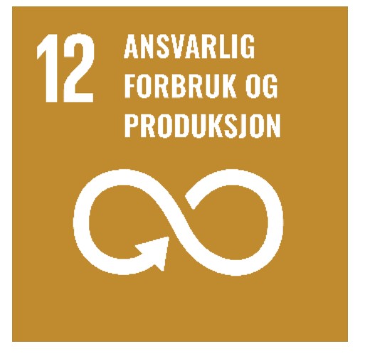 Bærekraftsmål nummer 12