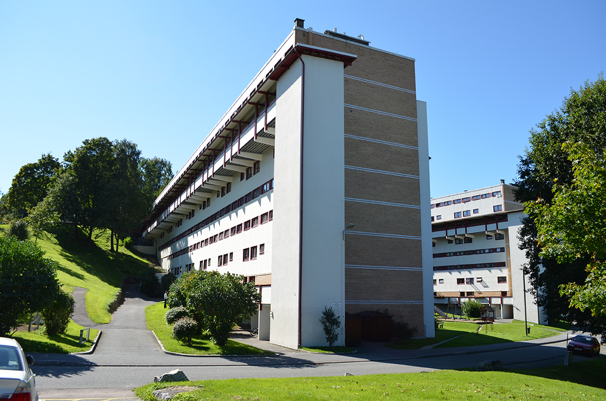 Selvaag sto for utbygging av blokkene på Dønski i 1968