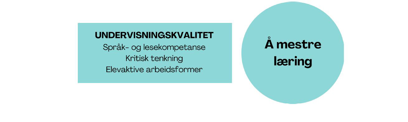 Undervisningskvalitet - Figur